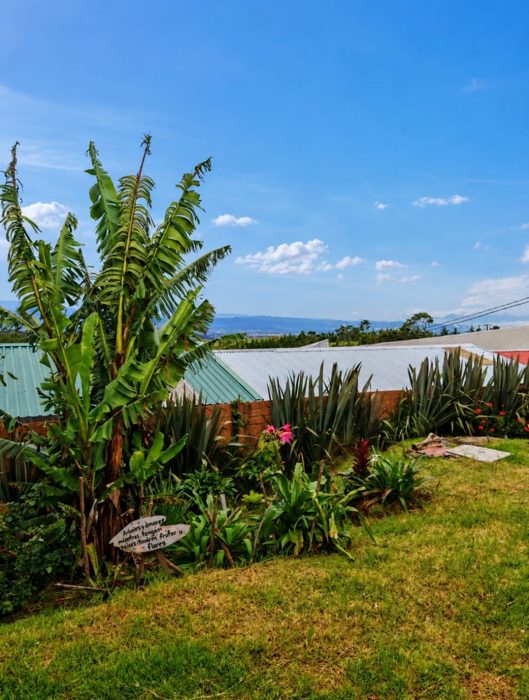 Jardín con vista abierta